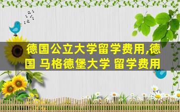 德国公立大学留学费用,德国 马格德堡大学 留学费用